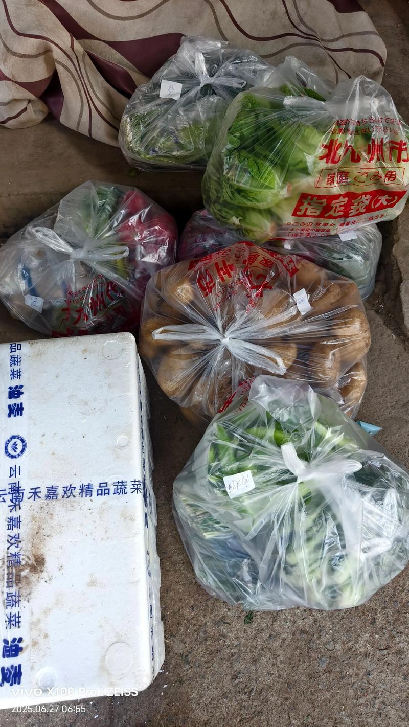 食堂承包助力校园健康餐饮